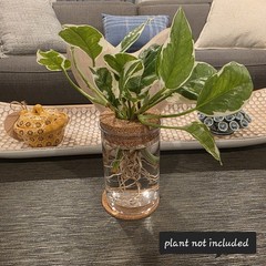 4in Plastic Self Sustaining Desktop Plant Terrarium with Cork Lid Coaster…