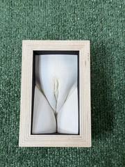 2002 Vagina Art Vulva Female Anatomy Decor Framed 3D “Boxing Katrina” JAW 3/20