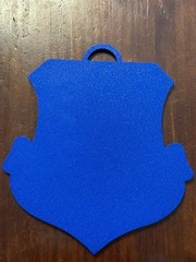 Air National Guard Emblem – 10 x 9 inches – Ready to Hang