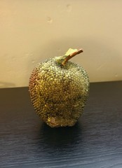 Vtg 1970s Decorative Beaded Fruit 5 Piece Apples & Pear Sugared Look