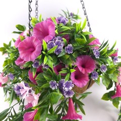 Wicker Park 18″ Cascading Multicolor Petunia and Wildflower Hanging Basket
