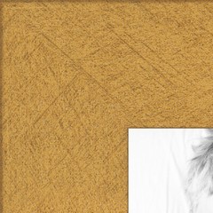 ArtToFrames 1.25″ Custom Poster Frame Classic Gold 4498 Large
