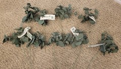 Eucalyptus Florals – 9 Picks NEW NOS Fake Flowers BEAUTYSILK BY RELIANCE