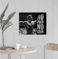 Arnold Schwarzenegger Canvas 16X20 Gym Wall Art Motivational Inspire Lift