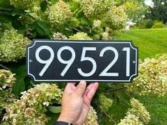 Engraved Personalized Custom House Home Number Street Address HDPE Sign 5In