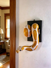 Ball Python Wall Sculpture Gothic Snake Wall Decor Wooden Reptile Hanging Art