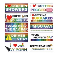 10-Pack LGBT Magnetic Bumper Stickers for Cars Computers Motorcycles
