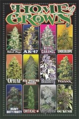 Home Grown Poster 24in x 36in