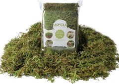 Fake Green Moss for Potted Plants, 4OZ Artificial Moss for DIY Crafts, Faux Moss