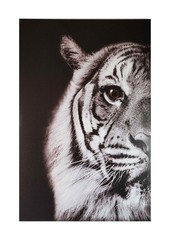 16″ x 24″ Monochrome Tiger Eye Wall Art on Wrap Around Canvas