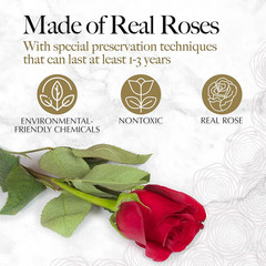 16 Flower Forever Heart Shape Box, Eternal Preserved Roses Gift for Her, Lasting