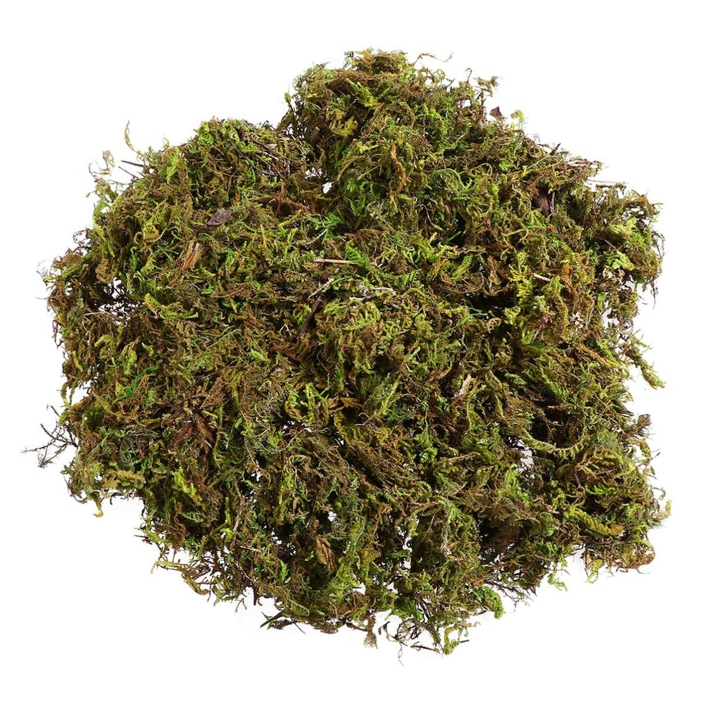 1 Pack Artificial Moss Fake Lichen Simulation Green Faux Pot Moss for DIY Min