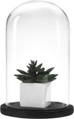 6 x 10 Inches Clear Glass Cloche Bell Jar Display Case w/ Rustic Black Wood Base