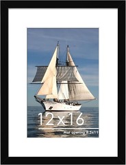 12×16 Picture Frame, Display Pictures 8.5×11 with Mat or 12 x 16 Without Mat New
