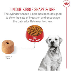 Royal Canin Labrador Retriever Adult Breed Specific Dry Dog Food – 30 Pound