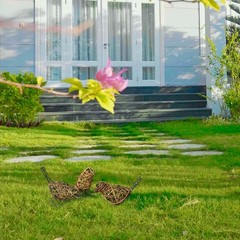 Set of 3 Rattan Bird Statues – Farmhouse Decor with Memo Clip, Multi-Pose Set