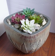 Set of 4 Artificial Succulent Plants Lotus Flowers (4 colors each one)