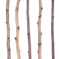 4ft. Birch Pole Assortment, 4 pc. for Wood Craft, Macrame, Rustic Curtain Rods