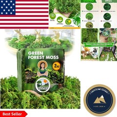 2 oz Green Forest Moss for Crafts – Real Dried Decorative Moss for Home Decor