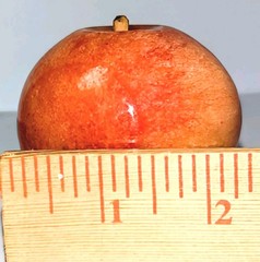Vtg Alabaster Marble Stone Fruit Lot of 3 Apple, Peach & Banana Great Condition