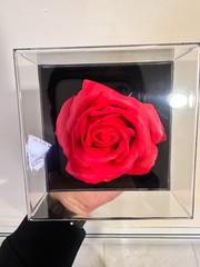 Preserved Eternal Rose Flower Gift Box With Necklace – Romantic Gift for Her