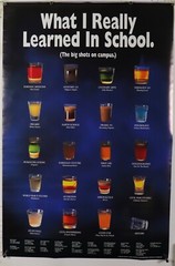 what i really learned in school Alcohol Liquor poster 23.25″ X 25.50″ NOS (b840)