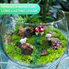 1 Pack Preserved Reindeer Moss 4 OZ Fake Moss for Crafts Dark Green