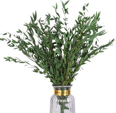 Real Eucalyptus Stems Greenery Decor 20PCS 17″ Dried Willow Eucalyptus Plant Pre
