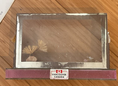 VTG Diorama Postcard Shadow Box Display MCM, Vancouver Canada, Flowers Tassels