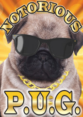Notorious P.U.G. Dog Fridge Magnet Kitchen Home Decor – 3.5″ x 2.5″ Made in USA