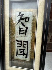 Set 2 Chinese Wall Art Framed & Matted Shadow Box Beauty and Kindness Wisdom