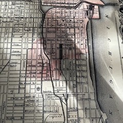 Historic City Map Chicago Illinois Fire Burnt District 22” X 36” Elmira Adviser