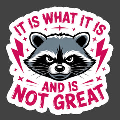 Raccoon Sticker Vinyl Decal It Is What It Is And Is Not Great Funny