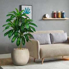 Artificial Red Dracaena Tree – 7FT Tall Fake Plants with Black Square Planter –