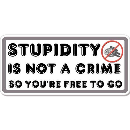 Stupidity Not A Crime Funny Rude car bumper sticker decal 8″ x 3″