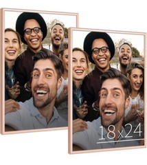 2 PK Anozie 18×24 Picture Frame Rose, designer Picture Frames with HD Plexiglass
