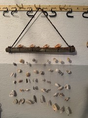 Coastal Beach Shell & Driftwood Wood Wall Hanging Decor, Brown/White