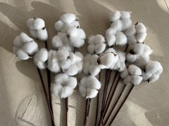 20Pcs Cotton Stems,Fake Cotton Flowers, Artificial Cotton Floral Stems