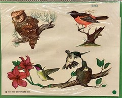 Vtg 1981 Meyercord Decal Art Decals Birds Hummingbird Owl Oriole Floral