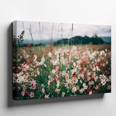 Wall Art Vibrant Wildflower Field Bursts With An Array Of Delicate Flowers In