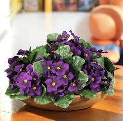 9In. African Violet Artificial Plant Set of 10