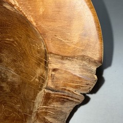 Live Edge Burl Wood Bowl Natural Root Centerpiece Hand Carved Organic Teak 16”