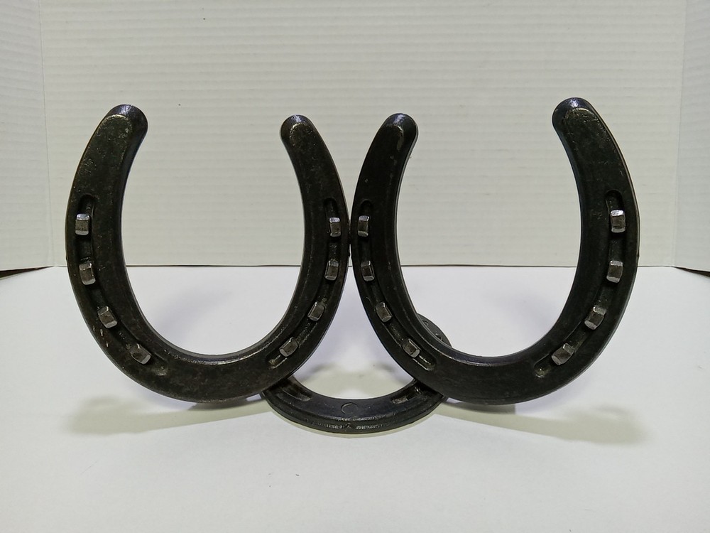 Nordic Forge Custom Made Picture Frame Real Horse Shoes & Nails Western Country