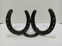 Nordic Forge Custom Made Picture Frame Real Horse Shoes & Nails Western Country