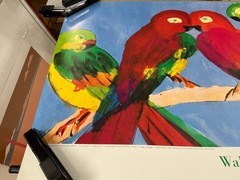 WALASSE TING Parrots