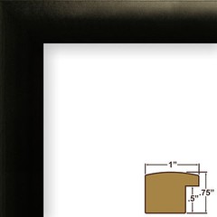 Craig Frames Complete 7×12 CD Display Mat in 1″ Black Frame with Glass