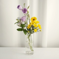 Clear Cylinder Vases 6 Inch Tall Glass Flower Vase for Table Decor 22oz