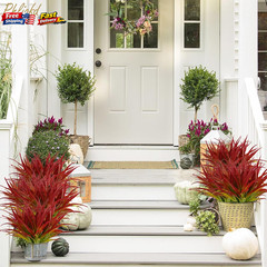 6 Pcs Artificial Grass Fake Plants 17.3″ UV Resistant Outdoor Greenery for Patio
