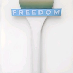 (6) FREEDOM Decal Vinyl Transfer Sticker Die Cut Car Window Laptop Charlie Kirk