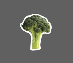 Broccoli Sticker Vegetable Waterproof NEW – Buy Any 4 For $1.75 EACH Storewide!